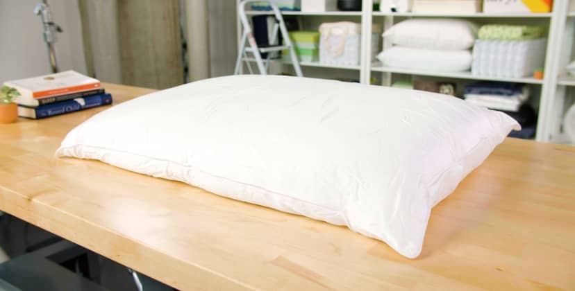 Best Pillows of 2025 - Best Luxury - Cozy Earth Silk Pillow