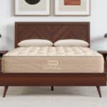 Best Organic Mattress of 2025 - Best Mattress for Spinal Alignment - Bear Natural