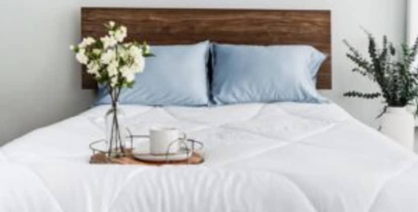 Eucalypso Dream Comforter
