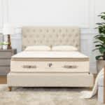 Best Latex Mattresses of 2025 - Most Comfortable Mattress - PlushBeds Botanical Bliss