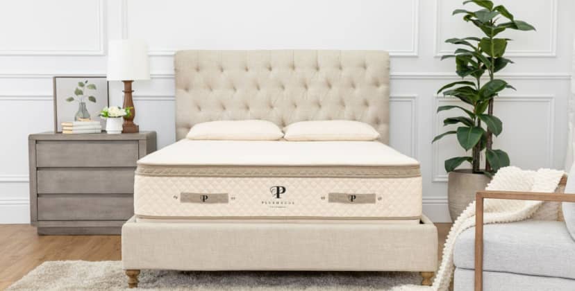 Best Organic Mattress of 2025 - Most Comfortable Mattress - PlushBeds Botanical Bliss