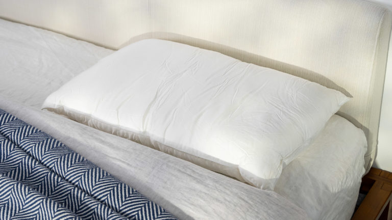 Best Pillows for Side Sleepers - Best Soft - Cozy Earth Silk Pillow