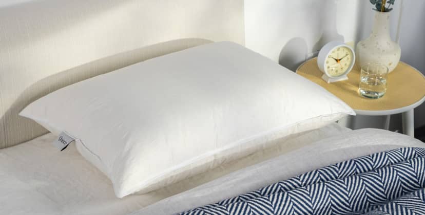 Best Pillows of 2025 - Best Goose Down - Quince Luxe Goose Down Pillow