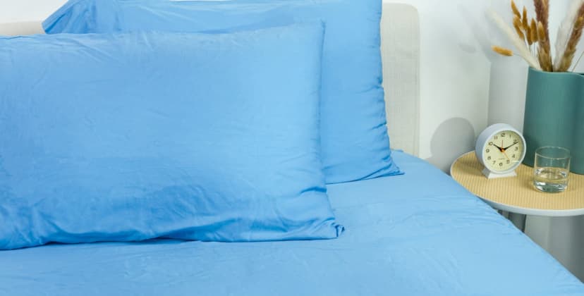 Best Sheets of 2025 - Softest - Sweet Zzz Organic Bamboo Sheets