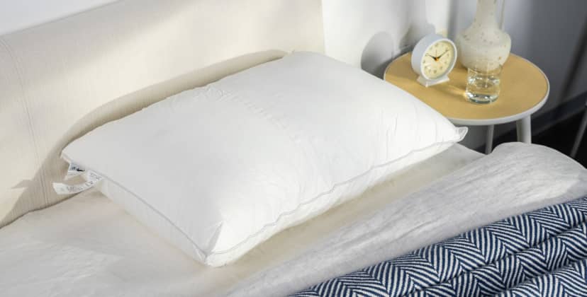 Best Pillows of 2025 - Best Soft Pillow - Sweet Zzz Plant-Based Pillow
