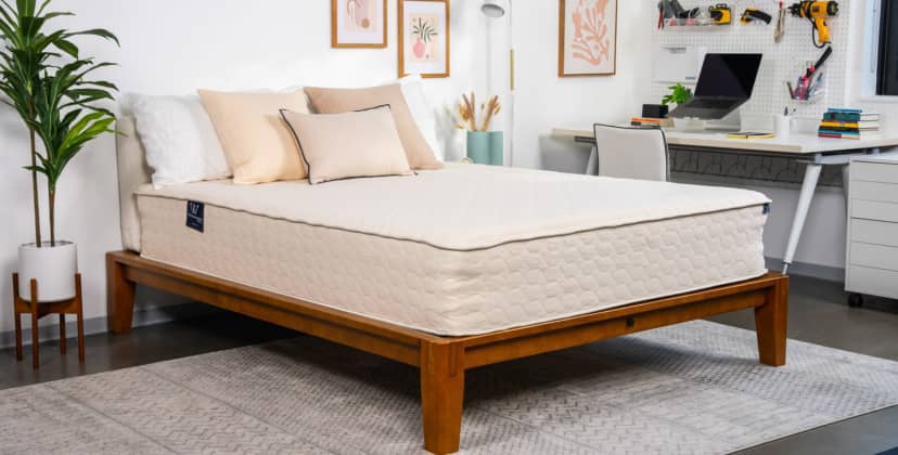 Best Organic Mattress of 2025 - Best Mattress for Back Pain - WinkBeds EcoCloud