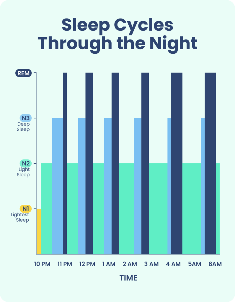 Graph showing how the sleep cycle changes during the night. 